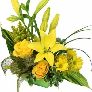 Meet your Posher, Deborah